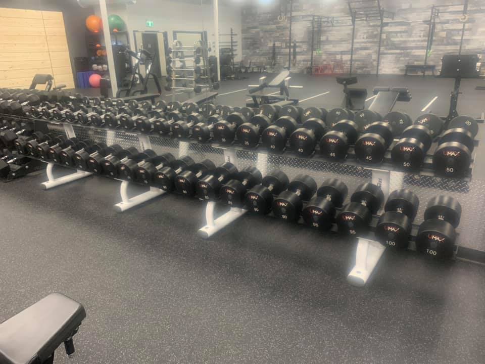 Free Weights & Racks